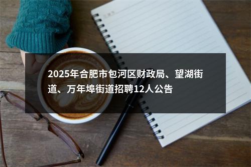 2025年合肥市包河区财政局、望湖街道、万年埠街道招聘12人公告 图片
