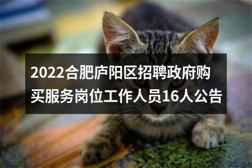 2022合肥庐阳区招聘政府购买服务岗位工作人员16人公告 图片