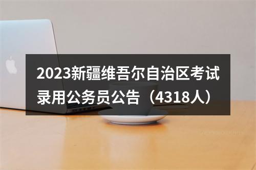 2023新疆维吾尔自治区考试录用公务员公告（4318人） 图片