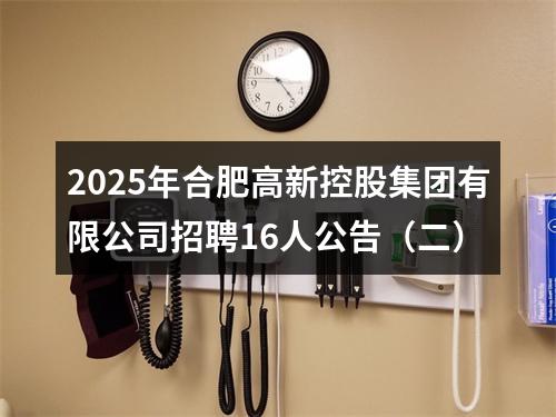 2025年合肥高新控股集团有限公司招聘16人公告（二） 图片