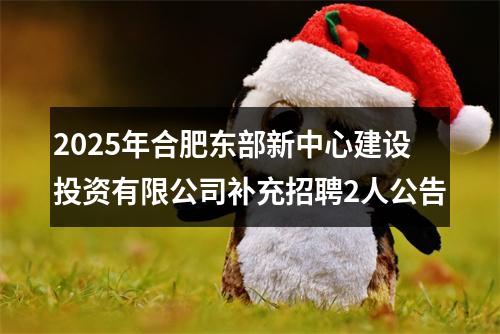 2025年合肥东部新中心建设投资有限公司补充招聘2人公告 图片