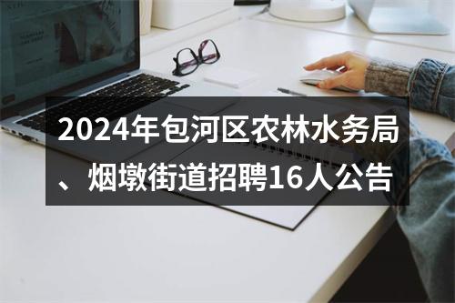 2024年包河区农林水务局、烟墩街道招聘16人公告 图片