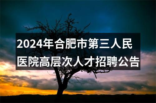 2024年合肥市第三人民医院高层次人才招聘公告 图片