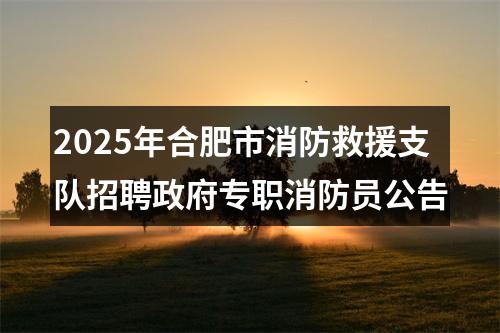 2025年合肥市消防救援支队招聘政府专职消防员公告 图片