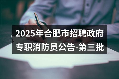 2025年合肥市招聘政府专职消防员公告-第三批 图片